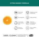 Vitamin C – Together Health – Natural Citrus Fruits – Gentle & Easily Absorbed – Includes Naturally Occurring Bioflavonoids – Vegan Friendly – Made in The UK – 30 Vegecaps - Image 4