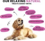 Calming Dog Treats – 175 Soft Chews with Herbal Extracts – Natural Behaviour Support for Stress, Barking, Separation, Aggression & Hyperactivity – Soothing Formula – Salmon Flavour - Image 4
