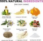 Calming Dog Treats – 175 Soft Chews with Herbal Extracts – Natural Behaviour Support for Stress, Barking, Separation, Aggression & Hyperactivity – Soothing Formula – Salmon Flavour - Image 5