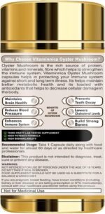 Vitaminnica Oyster Mushroom Supplement 500mg (20:1 Extract)| 100% Fruiting Bodies | 60 Vegan Capsules | Nootropics for Cholesterol & Blood Sugar Support - Image 3