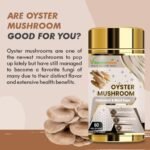 Vitaminnica Oyster Mushroom Supplement 500mg (20:1 Extract)| 100% Fruiting Bodies | 60 Vegan Capsules | Nootropics for Cholesterol & Blood Sugar Support - Image 5
