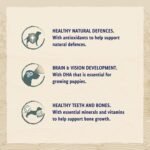 BETA® Puppy Small Breed Rich In Chicken, Dry Dog Food 2kg, Pack of 4 - Image 5