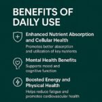 Stride MS-01 Methylated B-Complex | Active B6, Methylfolate (B9), B12, TMG & Vitamin C | Methylation Support | Energy, Detox, Homocysteine & Cellular Support | 28 Vegan Capsules - Image 6
