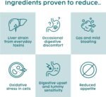 Milk Thistle for Dogs & Cats - Liver Supplements for Dogs, 100% Herbal Cat & Dog Supplements, Silymarin Antioxidant, Milk Thistle Liver Detox Tincture Drops Supports Immune System | 50ml - Image 4