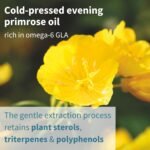 Igennus Vegepa, EPA Omega 3 & GLA Omega 6, Ultra Pure Wild Fish Oil & Evening Primrose Oil, 60, 560mg EPA per Serving, 30 Servings, 60 Capsules - Image 5
