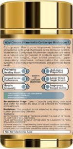 Vitaminnica Cordyceps Mushroom Supplement 500mg (20:1 Extract)| 100% Fruiting Bodies | 60 Vegan Capsules | Premium Energy, Stamina, and Immune Support Nootropics Supplement for Peak Wellness - Image 3