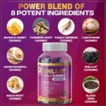 Shilajit Gummies 8-in-1 Blend - Ashwagandha, Manuka Honey, Maca Root, Ginseng, Turmeric, Lion’s Mane, Black Seed Oil - High Strength, 60 Gummies - Image 5
