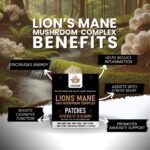 Lions Mane 5 in 1 Mushroom Complex Transdermal Patches – 60 Patches for Cognitive Support, Focus, and Immune Health | High Absorption, Like Capsules and Powder, Easy to Use, Long-Lasting - Image 3