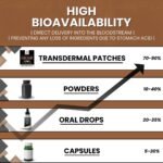 Lions Mane 5 in 1 Mushroom Complex Transdermal Patches – 60 Patches for Cognitive Support, Focus, and Immune Health | High Absorption, Like Capsules and Powder, Easy to Use, Long-Lasting - Image 4