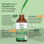 LIPOSOMAL Chlorophyll Drops, Chlorophyll Liquid, Face and Body Cleanser, Alcohol Gluten-Free Liquid Chlorophyll | Energy Supplement, Immune Support, Natural Deodorant, 60ml, Baanaas - Image 4