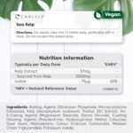 Sea Kelp Tablets 2000mg with Iodine | High Strength Sea Kelp Extract | Supplement for Men & Women | 240 Vegan Tablets | Carlyle - Image 4