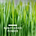 Organic Barley Grass Powder 1kg – Rich in Amino Acids – Resealable and Recyclable Pouch by Alpha01 - Image 5