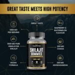 Shilajit Gummies 1400mg, Pure Himalayan Shilajit Gummies with Ashwagandha and Chaga, Rich in Fulvic Acid, Natural Energy Boost, Sugar Free, Vegan, Raspberry & Watermelon Flavour - 60 Gummies/Bottle - Image 3