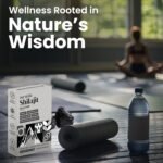 ShilaJit Strips | Zinc | Energy & Stamina Booster | Ayurvedic | Vitality Support | Ginko Biloba | Natural Strength | Performance Enhancer | 30 Oral Strips - Image 7