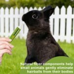 Animal Hair Management Supplement - Small Animal Nutritional Paste,Chinchilla Daily Grooming Support Paste,for Gerbils Mice Degus Squirrels Chinchillas Bunny - Image 3