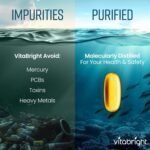 Omega 3 Capsules High Strength | 2000mg | 660 EPA + 440 DHA | 5 Months | Omega 3 Fish Oil Tablets | Triglycerides & Brain Supplement | Alternative to Cod Liver Oil Capsules High Strength | VitaBright - Image 5