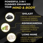 Pure Organic Himalayan Shilajit Gummies with Lion's Mane Mushroom and Ashwagandha 3-in-1 Max High Strength by MountSpirit™,Fulvic & Humic Acid and 85+ Minerals, for Energy, Immunity & Focus - Image 3