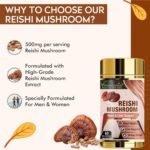Vitaminnica Reishi Mushroom (20:1 Extract) Supplement- 60 Veg Casules | High Strength Extract Nootropics with Premium Immune and Stress Support - Image 5