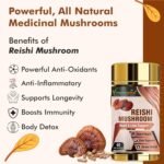 Vitaminnica Reishi Mushroom (20:1 Extract) Supplement- 60 Veg Casules | High Strength Extract Nootropics with Premium Immune and Stress Support - Image 6