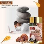Vitaminnica Reishi Mushroom (20:1 Extract) Supplement- 60 Veg Casules | High Strength Extract Nootropics with Premium Immune and Stress Support - Image 7