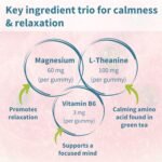 Igennus Calm Magnesium Gummies, L-Theanine & Vitamin B6, for Kids & Adults, 90 Sugar-Free Gummies, Watermelon Flavour, Clean Ingredients & Vegan, 45-90 Servings - Image 3