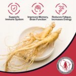 100% Authentic American Ginseng Capsules -500 mg. Potent Ground Ginseng Root - No Fillers, Binders or Other Additives (75) - Image 4