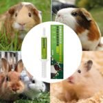 Small Animal Nutritional Gel - Gentle Small Animal Nutritional Cream,Chinchilla Daily Grooming Support Paste - for Gerbils Mice Degus Squirrels Chinchillas Bunny - Image 5