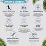 Super Vitamin B Complex | x120 High Strength Micro Tablets | 2 Month Supply | with B1, B2, B3, B6, (Folic Acid) B9, B12, Biotin (B7), B5 and Vitamin C | Vegan, UK Made by Grounded - Image 6