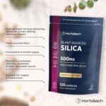 Silica Supplement 500mg | High Strength Silica from Horsetail Extract | 120 Powder Capsules | Vegan | 4 Month Supply | by Horbaach - Image 3