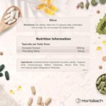 Silica Supplement 500mg | High Strength Silica from Horsetail Extract | 120 Powder Capsules | Vegan | 4 Month Supply | by Horbaach - Image 4