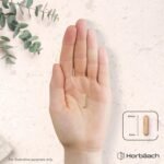 Silica Supplement 500mg | High Strength Silica from Horsetail Extract | 120 Powder Capsules | Vegan | 4 Month Supply | by Horbaach - Image 8