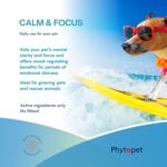 Phytopet Calm & Focus | 30ml | Natural Cognitive & Mood Support | Bacopa, Ashwagandha, St. John’s Wort | For Dogs, Cats, Birds, Horses - Image 4