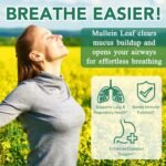 Mullein Gummies for Lungs, 2000mg Mullein Leaf Extract for Lungs Detox and Cleanse, Organic Mullein Herbal Supplement for Mucus Relief & Respiratory Support, Non-GMO, 60 Gummies (1 Month Supply) - Image 4