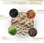 Shilajit Adaptogen Complex 90 Capsules | Two a Day | with Vitamin D3, Vitamin B6 and Zinc | Food Supplement - Image 5