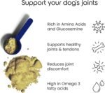 Green Lipped Mussel Powder for Dogs | Joint Care Supplement Rich in Amino Acids & Glucosamine | 100% Pure Green Lipped Mussel | Supports Mobility & Flexibility | Measuring Scoop Included - Image 3