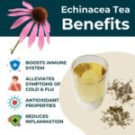 Teapro Echinacea Purpurea Loose Leaf Tea 100g | Premium Herbal Tea | Purple Coneflower Tea | Caffeine Free Winter Throat & Immunity Support | 100% Pure & Natural | Dried Herbs Health Tea - Image 3