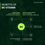 Ashwagandha Gummies by Wishamin – Ashwagandha Extract & Vitamin B6 – Apple Flavour – Vegan, Mind & Energy Support, Supplement for Women & Men – 60 Gummies (2 a Day) - Image 5