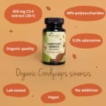 Vegavero Cordyceps Sinensis Organic 13,000 mg | Mushroom Extract 20:1 | 40% Polysaccharides and 0.5% Adenosin | NO Additives | Lab-Tested | Vegan - Image 4