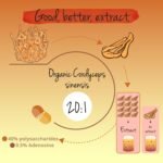 Vegavero Cordyceps Sinensis Organic 13,000 mg | Mushroom Extract 20:1 | 40% Polysaccharides and 0.5% Adenosin | NO Additives | Lab-Tested | Vegan - Image 5