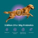 Probiotic Syringe Refill Pouch for Dogs Paste, Prebiotic & Digestive Instant Support Formula - Advanced Gut Health Solution - Tasty Supplement for Digestion & Diarrhea -Beef Flavour, 150ml - Image 4