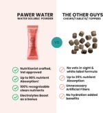 GUT HEALTH DOG SUPPLEMENT with Salmon Oil, Prebiotics & Probiotics | Digestion Support Powder for Dogs | Sensitive Stomach, Loose Stool & Gas Relief | Natural Hydration Drink Mix - Image 4