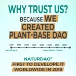 NATURDAO® DAO Enzyme 3,000,000 HDU per Day - Perfect Dosage with 1,000,000 HDU per Tablet (1 to 3 Tablets/Day) - 100% DAO Vegan - 60 Tablets - Image 3