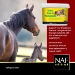 NAF Mare, Foal & Youngstock 1.8kg – Horse Supplement for Breeding, Pregnancy & Growth – Rich in Vitamins, Minerals & Amino Acids – Supports Bone, Muscle & Immune Development - Image 4