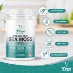 Organic Irish Sea Moss Capsules with Bladderwrack & Burdock Root 1200mg - Sea Moss Supplement, Bladderwrack 1200mg & Burdock 400mg per Serving - Gluten Free, Non-GMO (120 Capsules) - Image 7