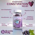 GentleGo Gummies | Constipation Relief | Natural Laxatives | Promote Regularity | Vegan Gummy | Stool Softener | Detox Cleanse | Amla, Vibhitaki, Haritaki | 60 Gummies - Image 3