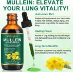 Mullein Leaf Extract Drops, Mullein Leaf Extract for Lungs Cleanse, Vegan Mullein Herbal Supplements Fast Absorption, Mullein Leaf Drops 60ml - Image 8