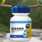 Supplementary Food - Health Supplement - Natural Powder for Digestive Support Daily Bird Food Wellness Development Energy Balance Proper Growth for Birds - Image 4