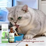 Feline – Cat Chews, Skin Nourishment | Urinary Care Blend, Heart Support Drops, Pet Immunity Enhancer, Health Supplement, Natural Protein Enrichment, Senior Cat Nutrit - Image 4