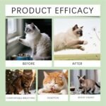 Feline – Cat Chews, Skin Nourishment | Urinary Care Blend, Heart Support Drops, Pet Immunity Enhancer, Health Supplement, Natural Protein Enrichment, Senior Cat Nutrit - Image 5