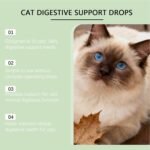 Feline – Cat Chews, Skin Nourishment | Urinary Care Blend, Heart Support Drops, Pet Immunity Enhancer, Health Supplement, Natural Protein Enrichment, Senior Cat Nutrit - Image 9